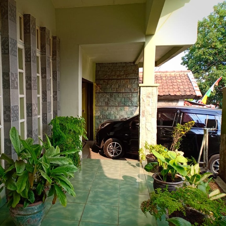 rumah secondary gland property