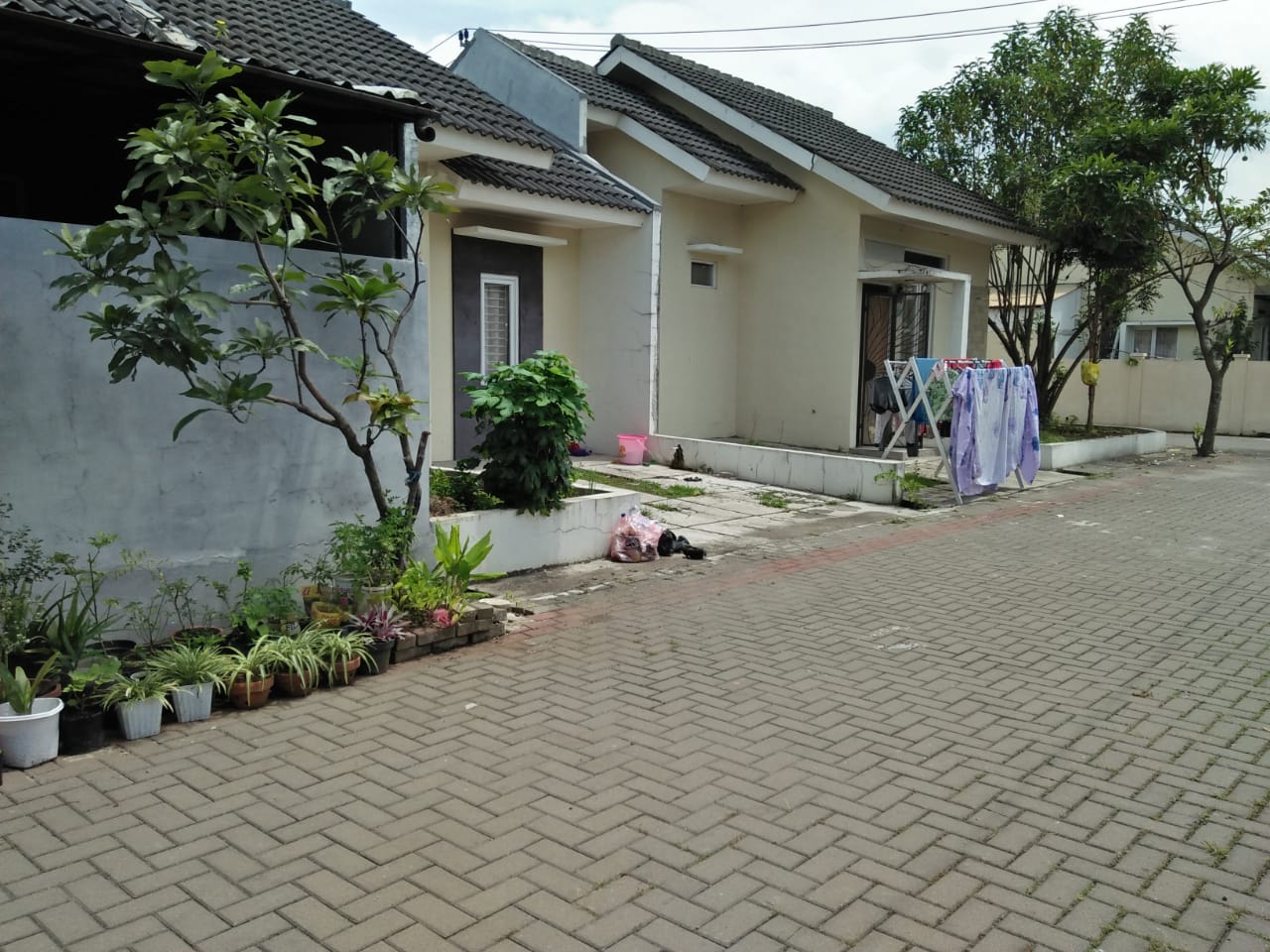 rumah secondary gland property